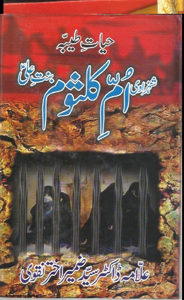 Hayat E Tayyaba In Urdu Pdf 48